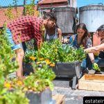 Balcony and Rooftop Garden Ideas